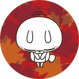 11月29日(土)京NEWS