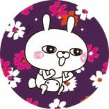 9月4日(木)京NEWS
