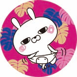 8月4日(月)京NEWS